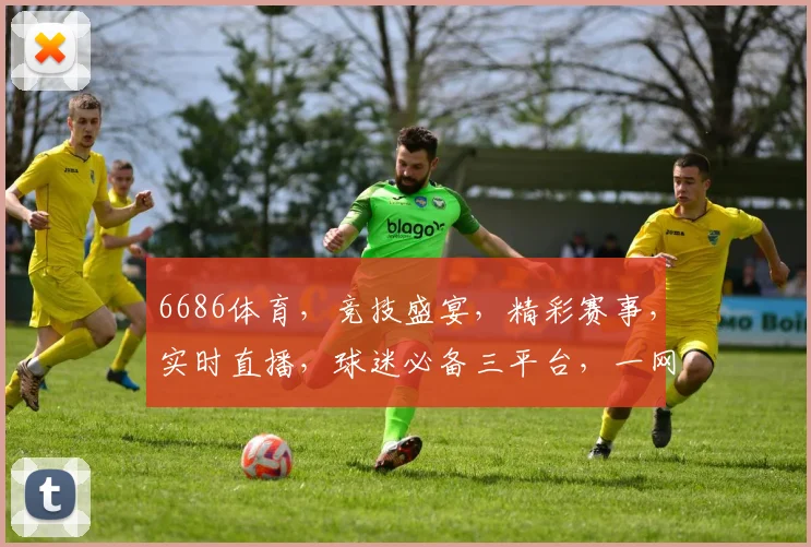 6686体育,竞技盛宴,精彩赛事,实时直播,球迷必备三平台,一网打尽
